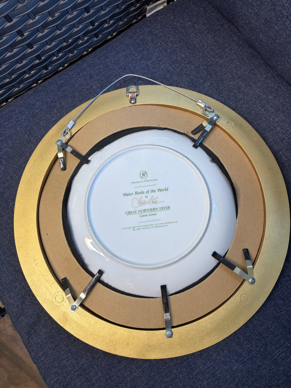 Lovely framed duck plate!