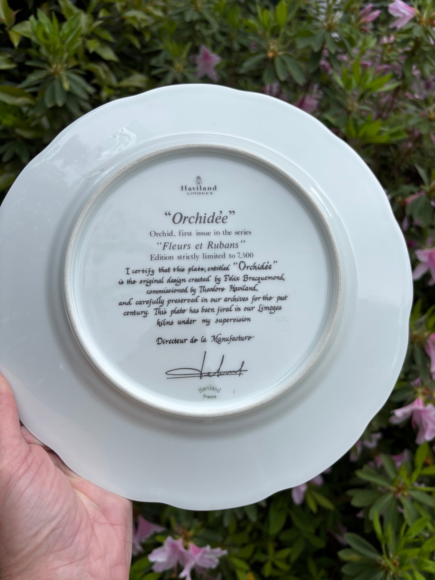 Lovely Haviland Limoges Orchid plate!