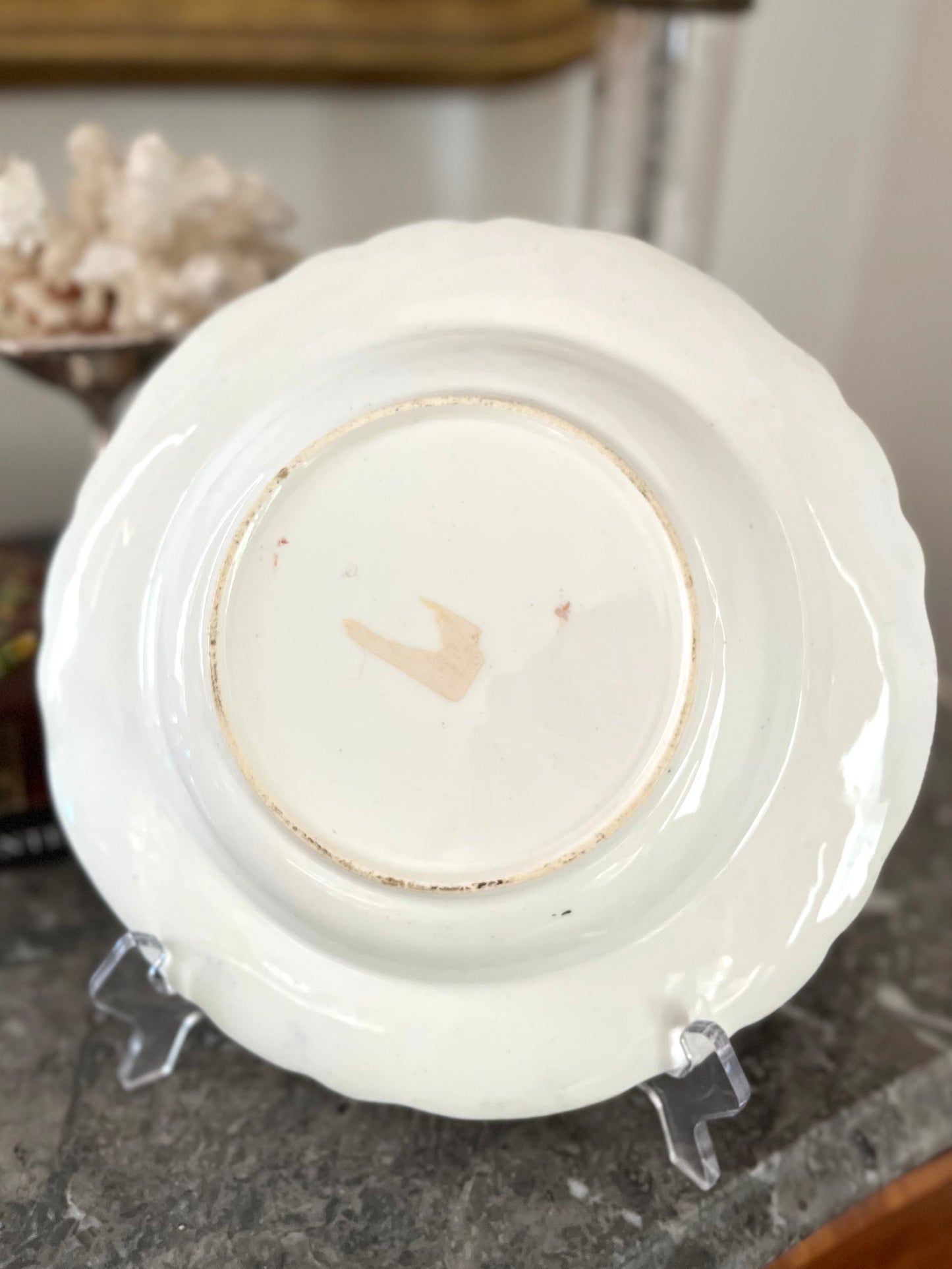 RESERVED - PAMPLINPEGGY - Live 08/18 Vibrant Antique Staffordshire Hand-Painted Imari Exotic Bird Plate – 10”