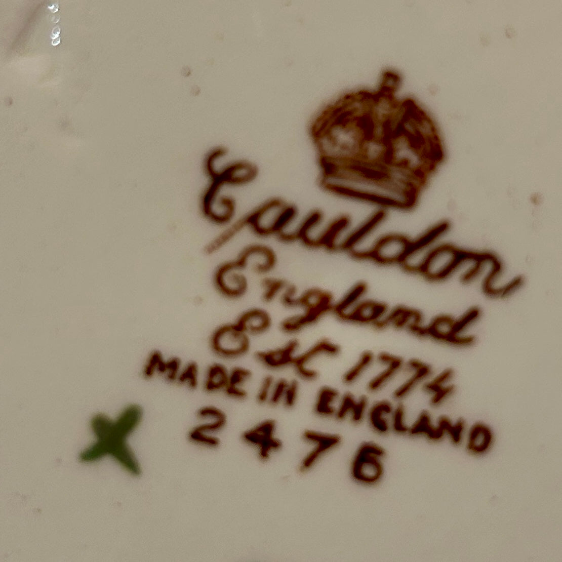 Set of 2 antique rare vintage designer botanical plates by Royal Cauldon England 10 d