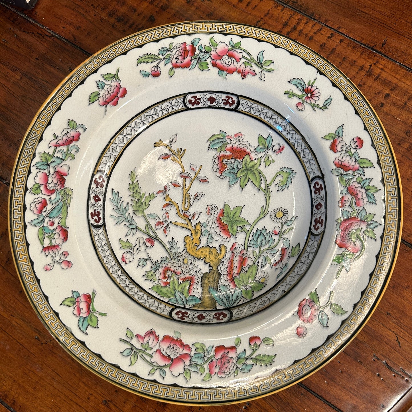 Beautiful Indian Tree Vesper England dinner plate 10.5 d