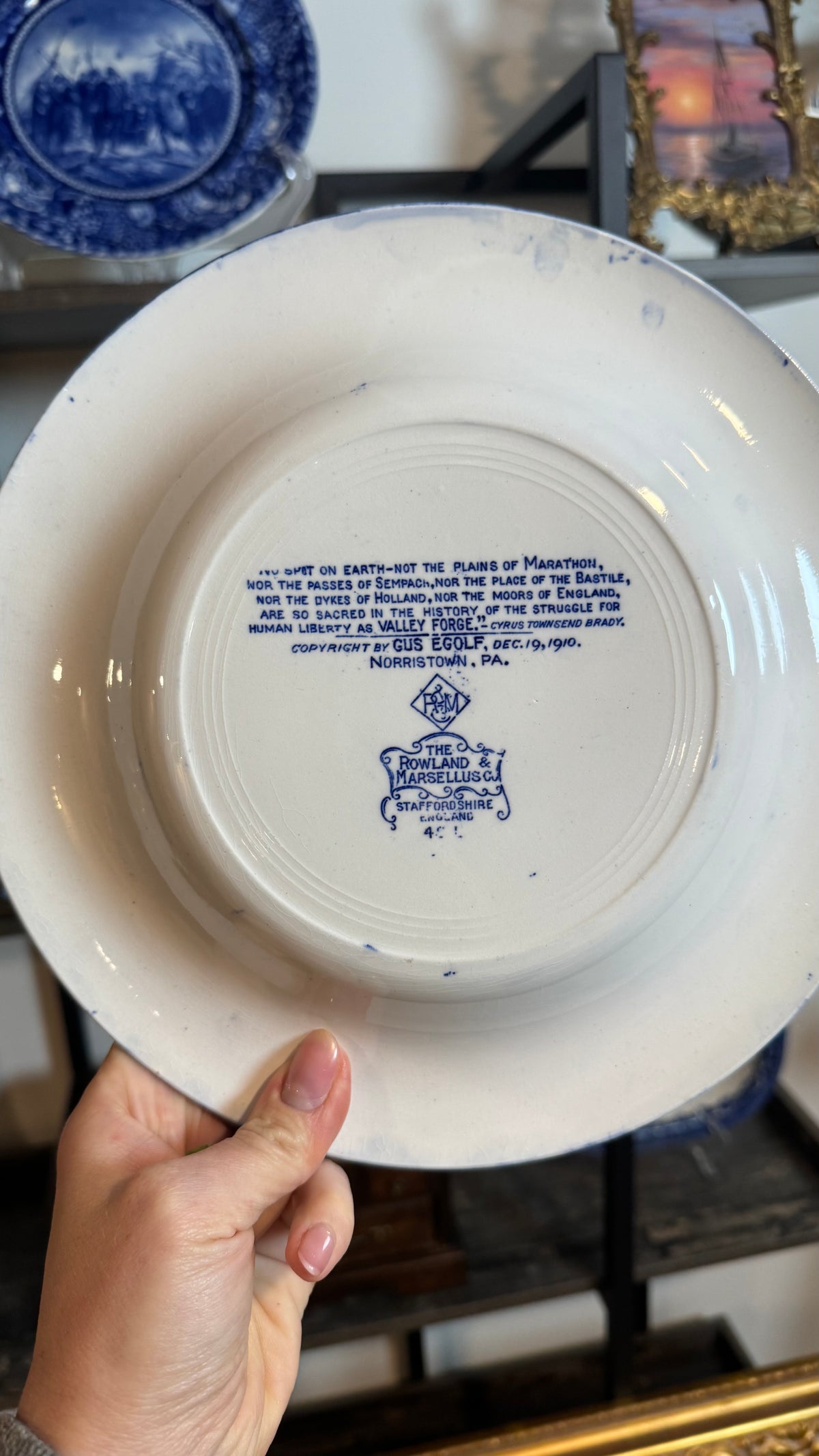 Blue and white vintage historical plate