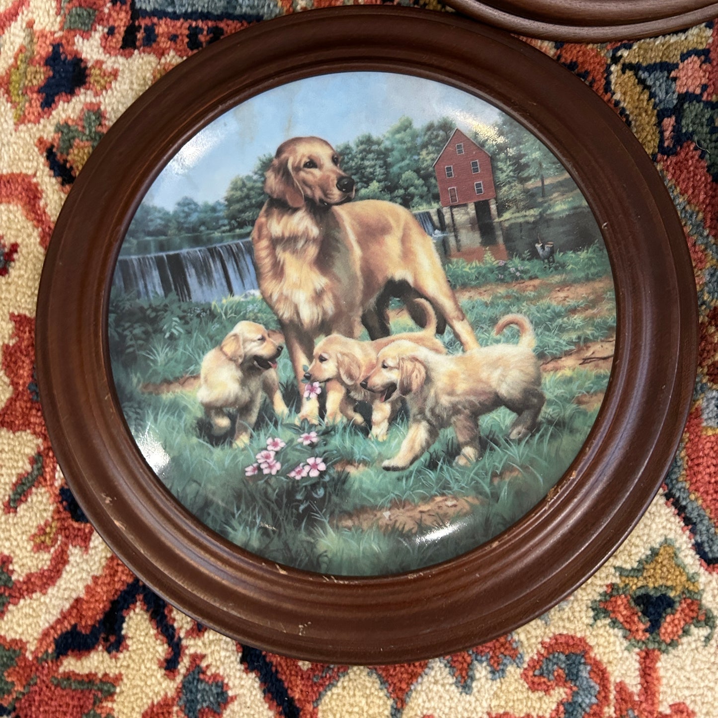 Set of 2 vintage wood framed lab & golden collectors dog plates