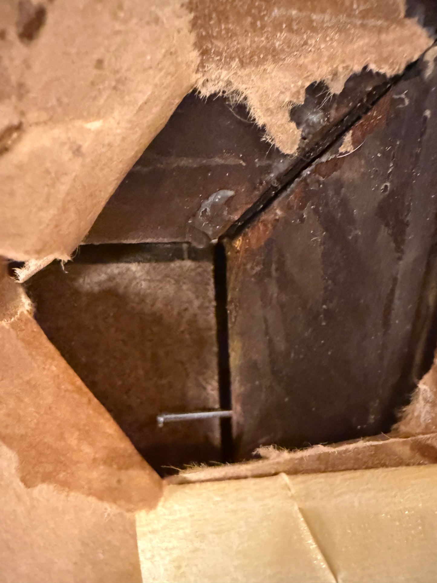 Striking Early Maritime Gentleman Portrait Oil on Board in a Period Gilt Wood Frame