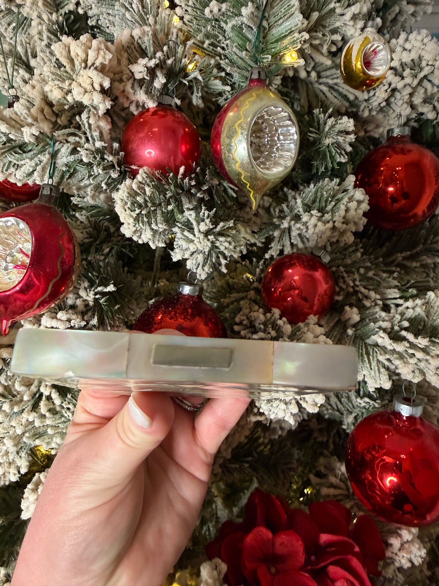 Stunning Antique Victorian Mother of Pearl “Calling Card Case”