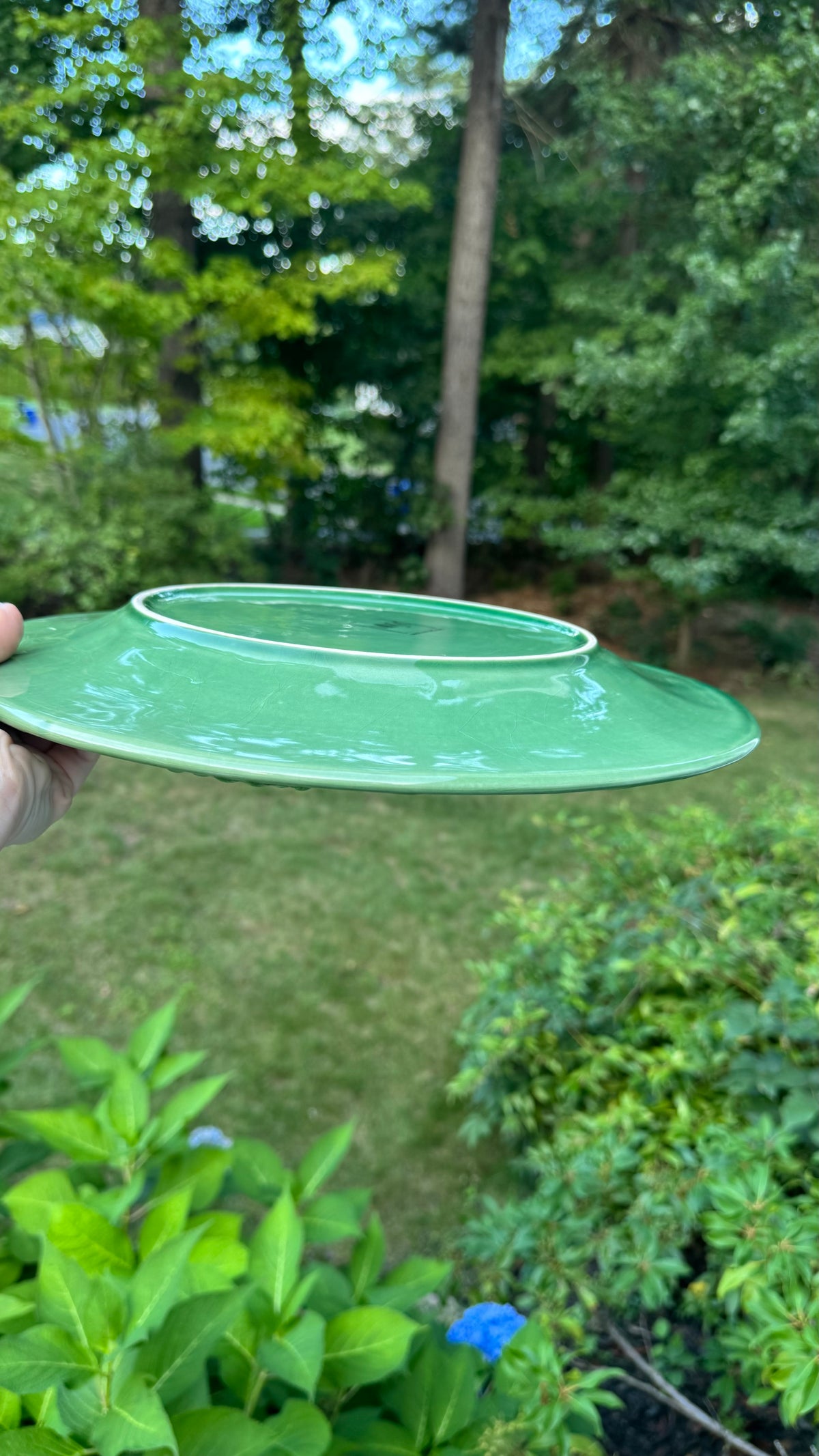 Mikasa Vintage green grape design plate 14”