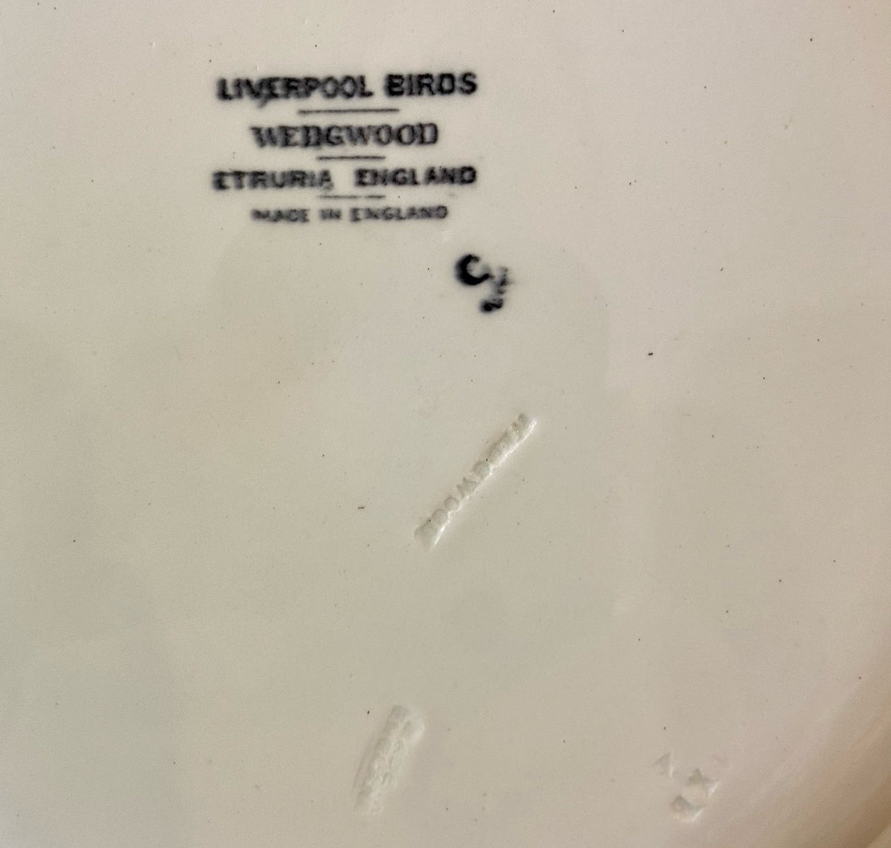 Vintage WEDGWOOD “Liverpool Birds” porcelain plate.