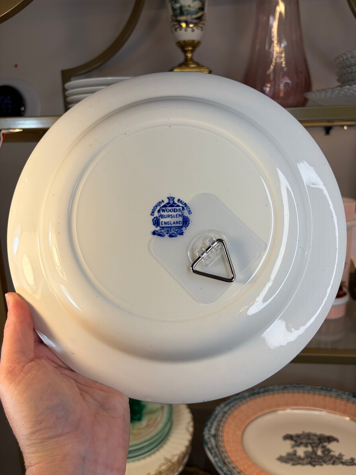 Beautiful Woods Burlsem blue and white turkey plate!