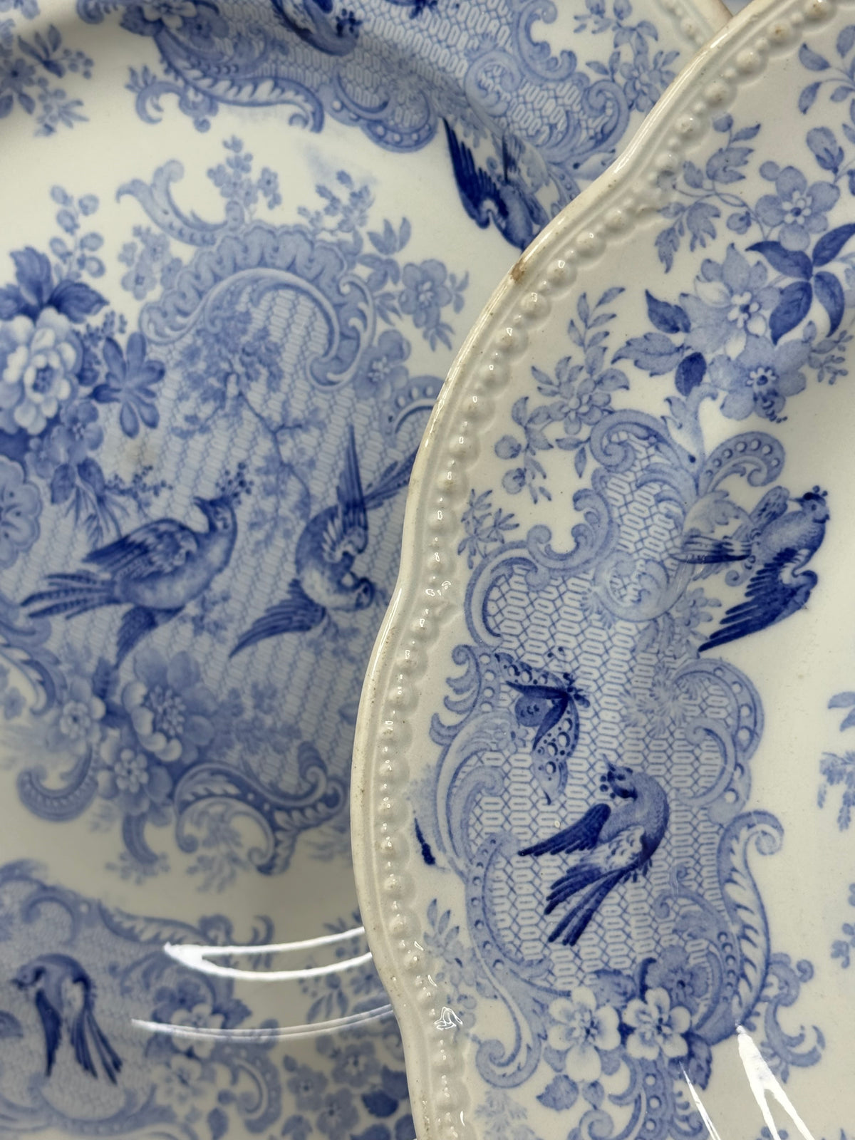 Pair of Wedgwood Blue & White Bird Design Plates | c.1884 | 10.25” D | #DA4599