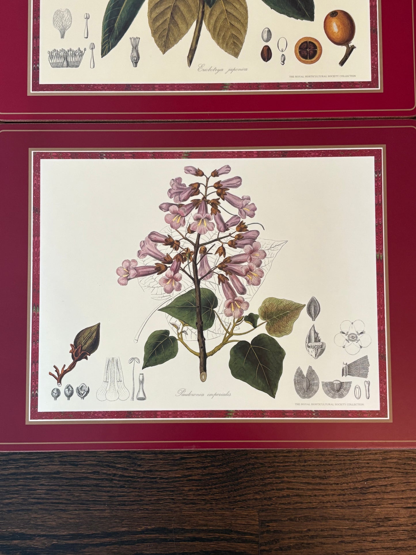 Set (4) Pimpernel Placemats