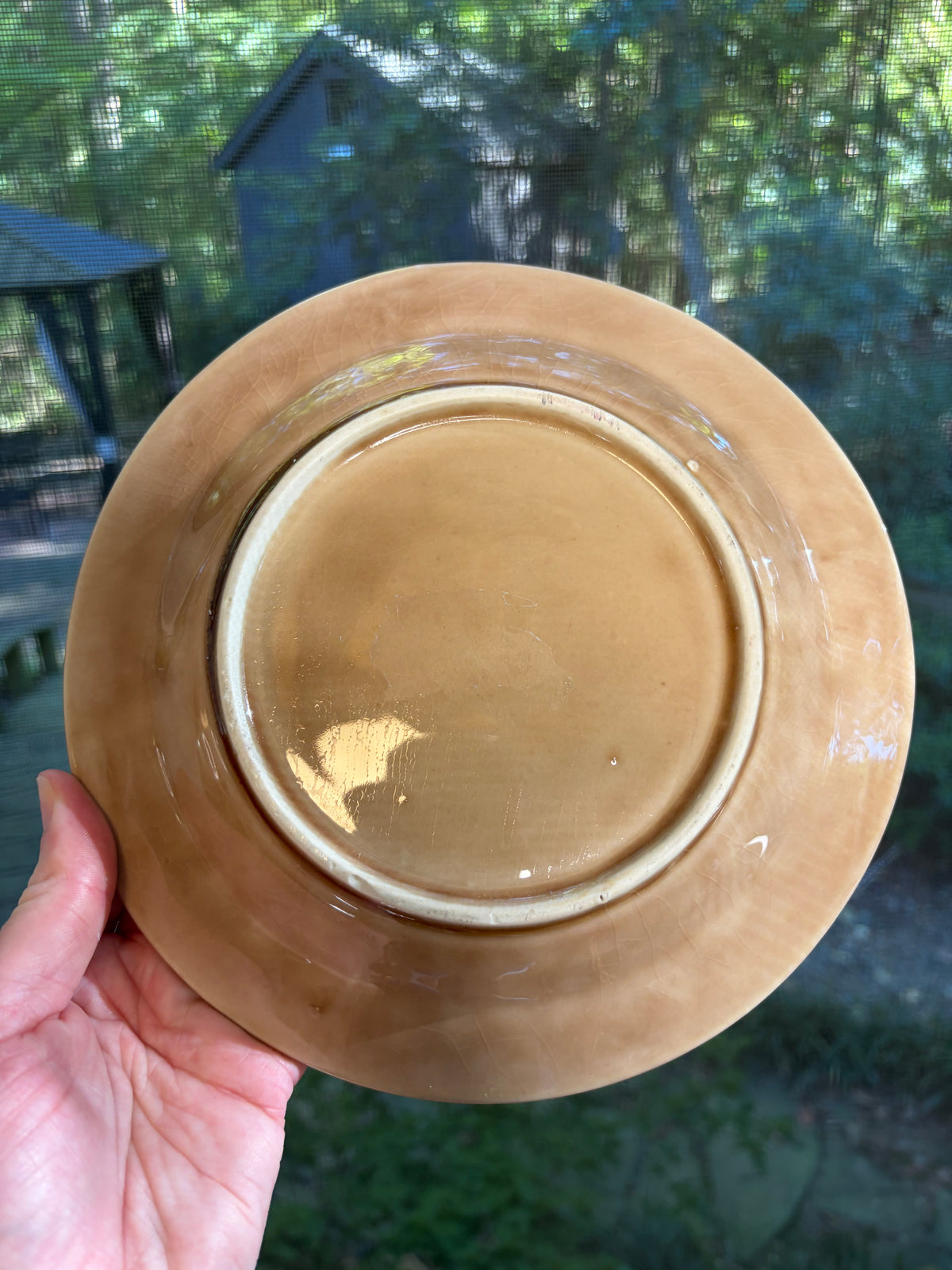 Gorgeous antique majolica plate of deer and dog!