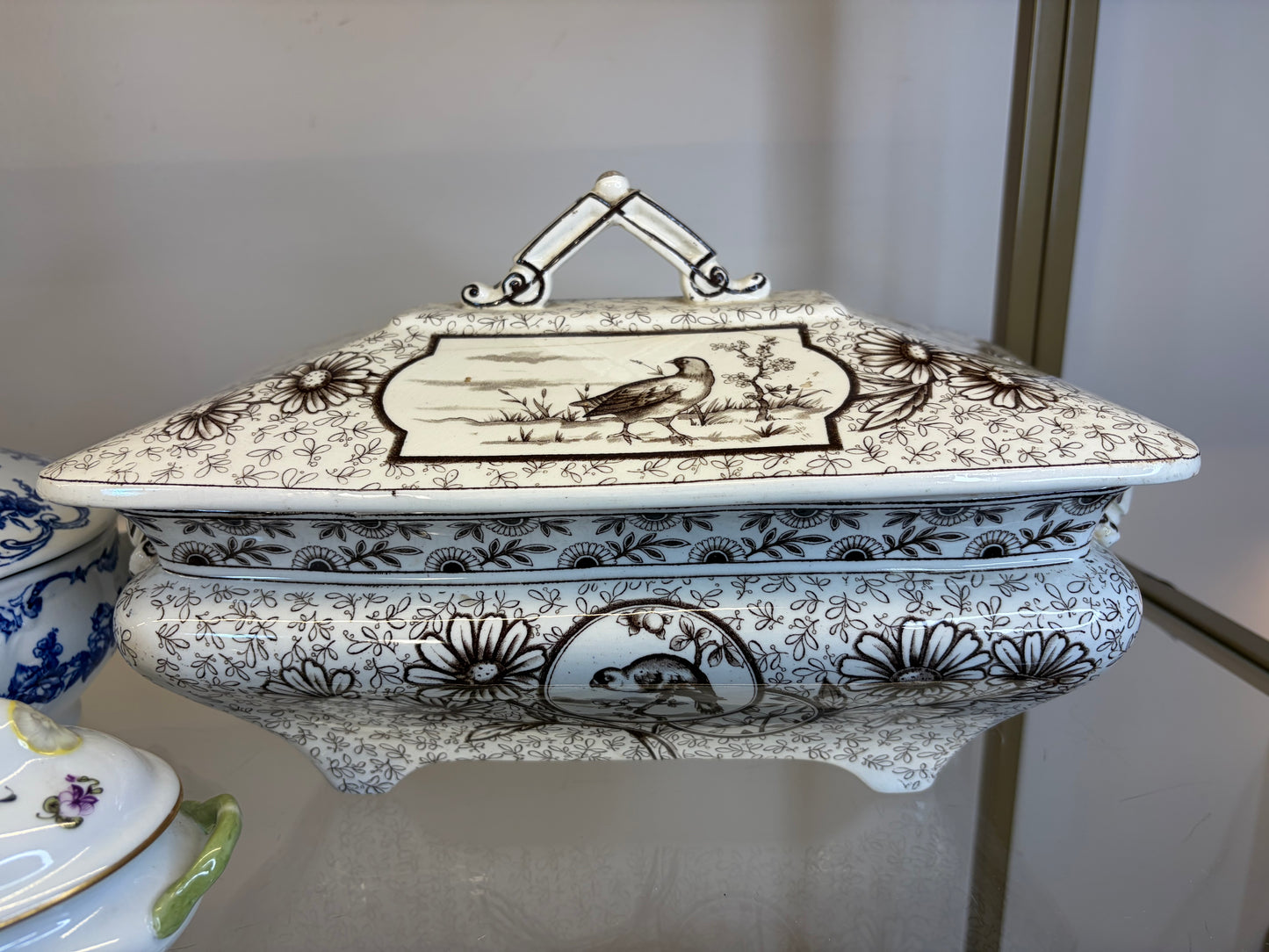 Stunning antique Ridgways brown transferware lidded tureen featuring birds! As is!