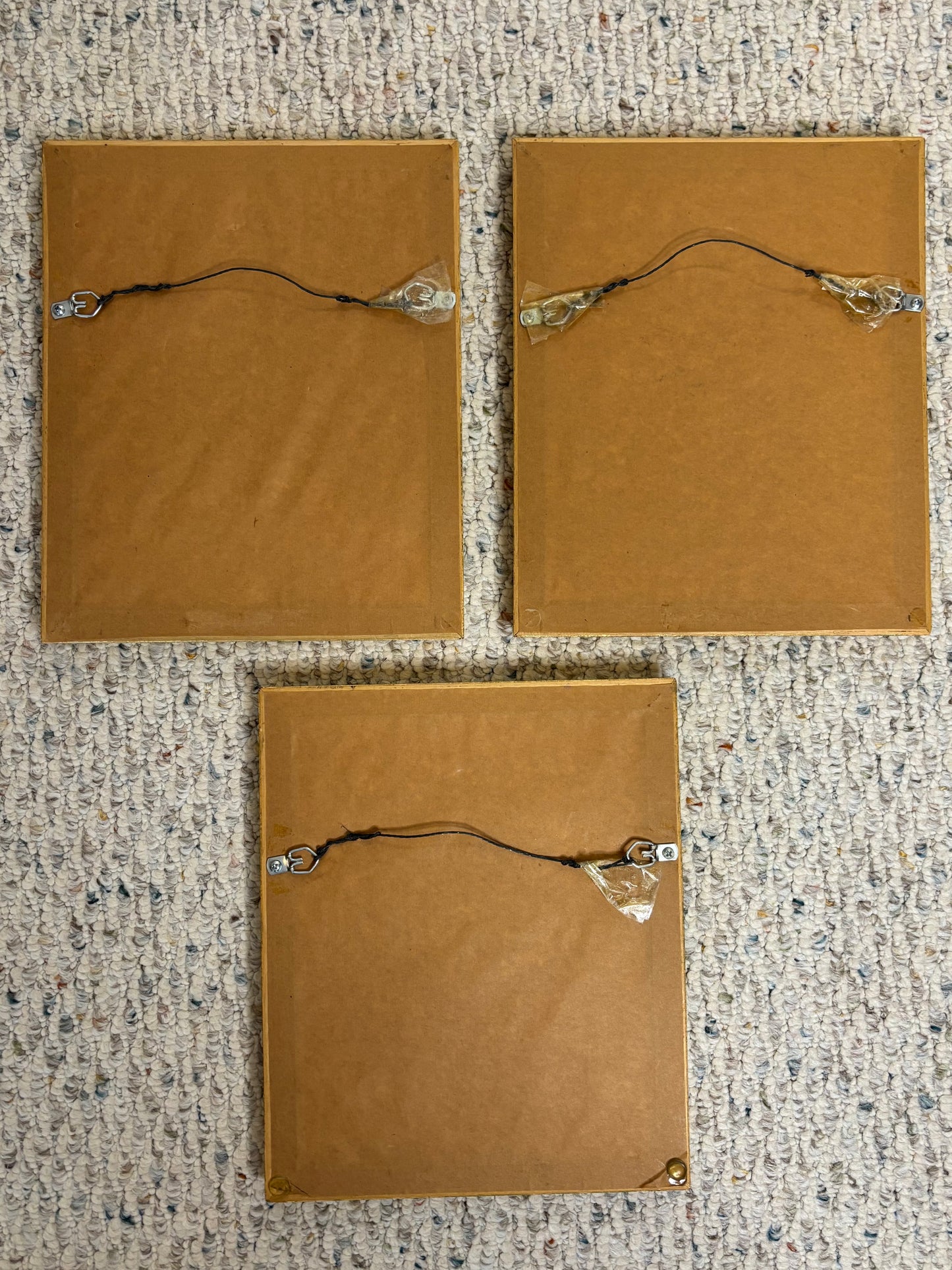 Lovely framed florals trio!