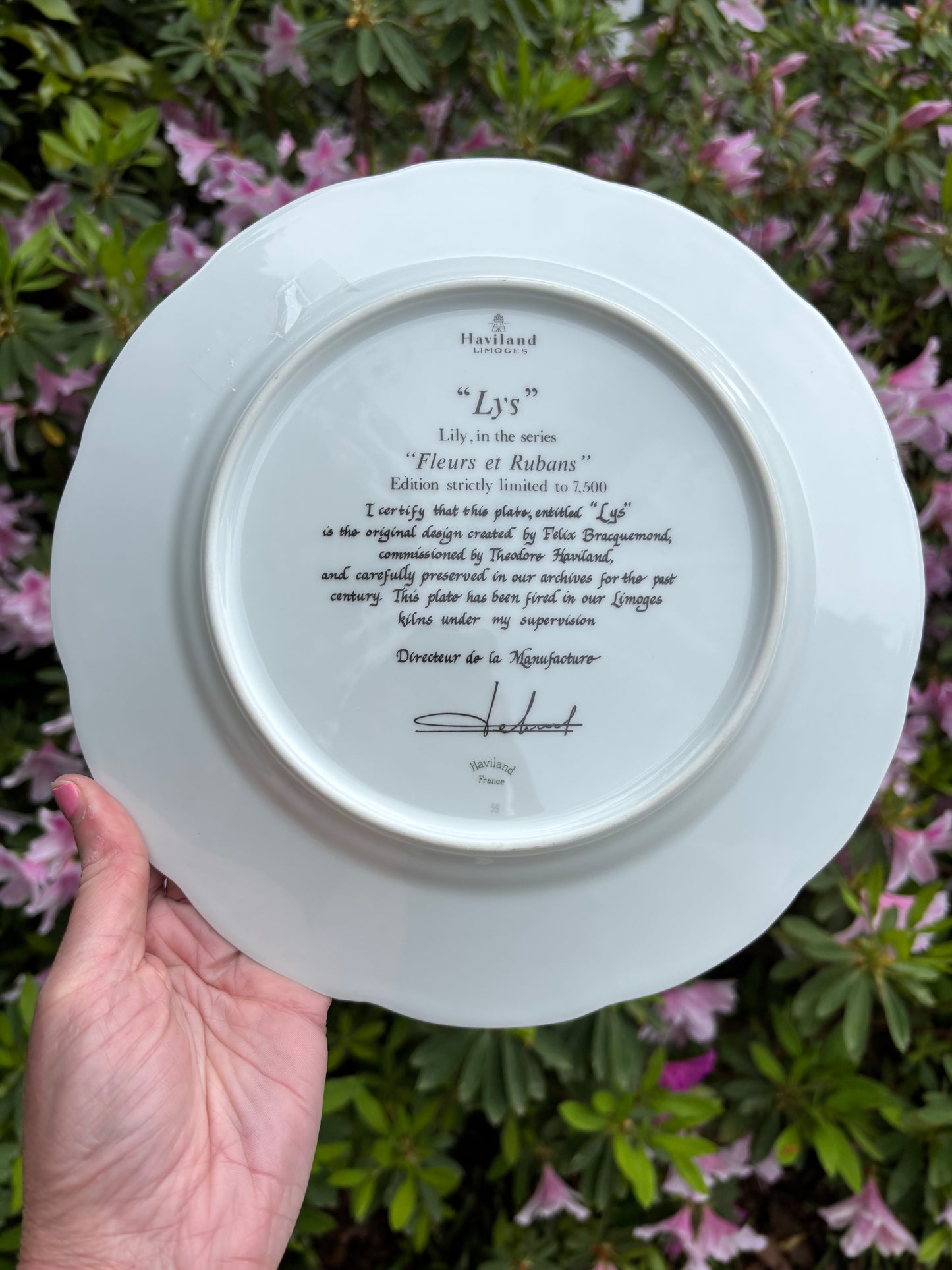 Lovely Haviland Limoges Lily plate!