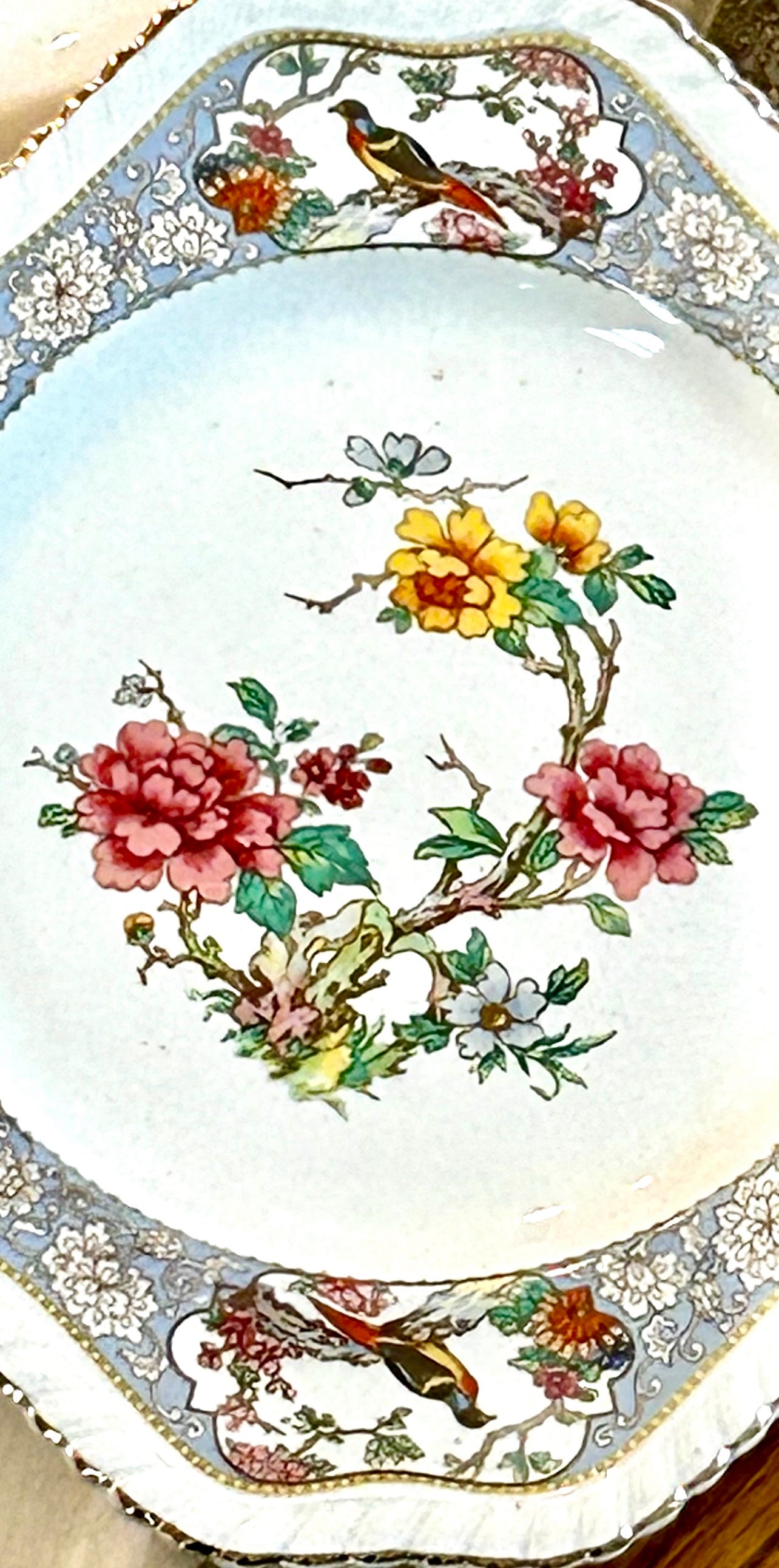 Beautiful 22 piece vintage antique Johnson Brothers England bird botanical set