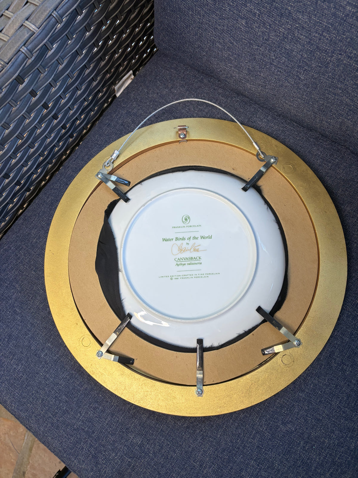 Lovely framed duck plate!