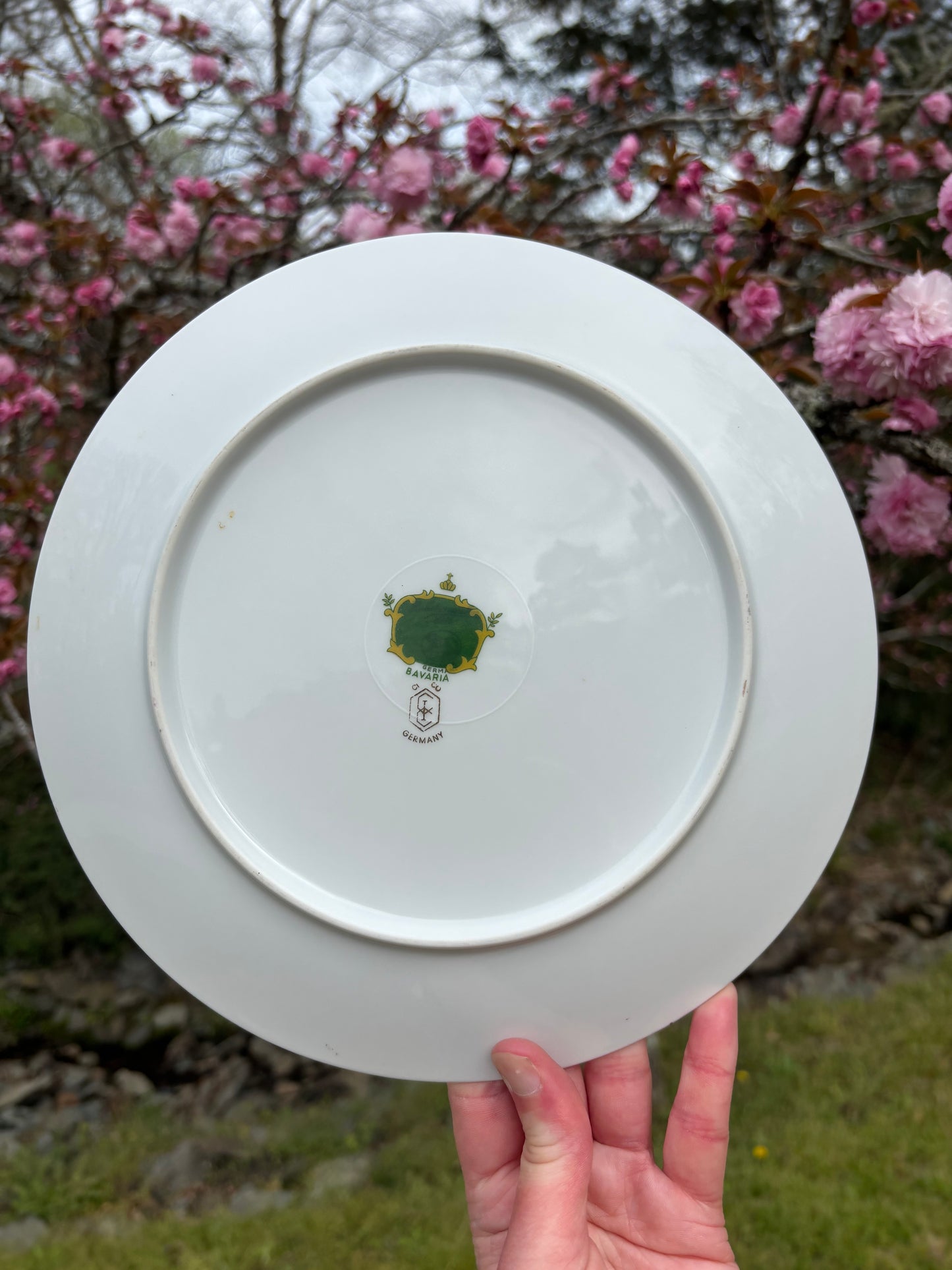 Lovely Bavarian China plate!