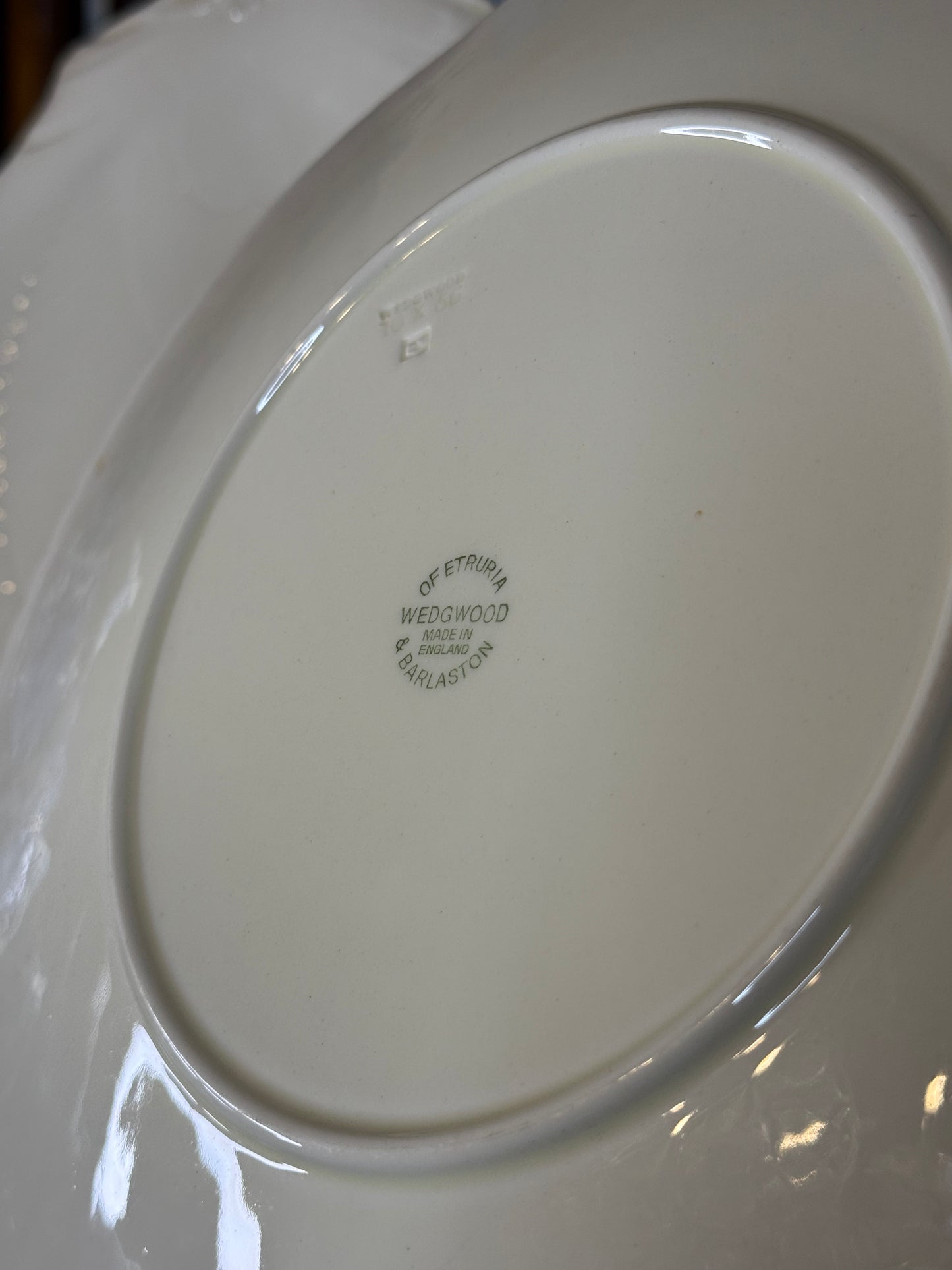 Vintage Wedgwood Nautilus Shell Plates | Pair of Large Etruria & Barlaston Scallop Plates | 11”