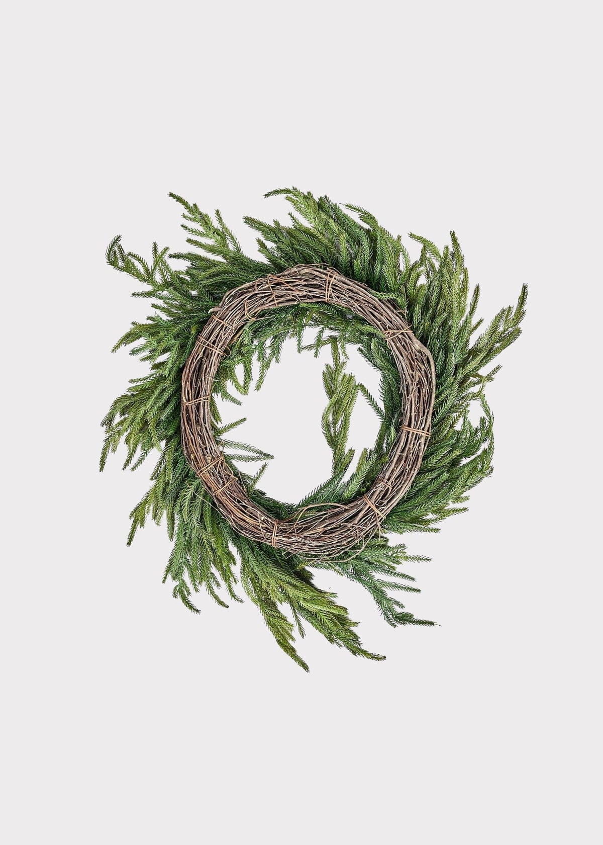 Afloral™ Real Touch Norfolk Pine Wreath - 24"