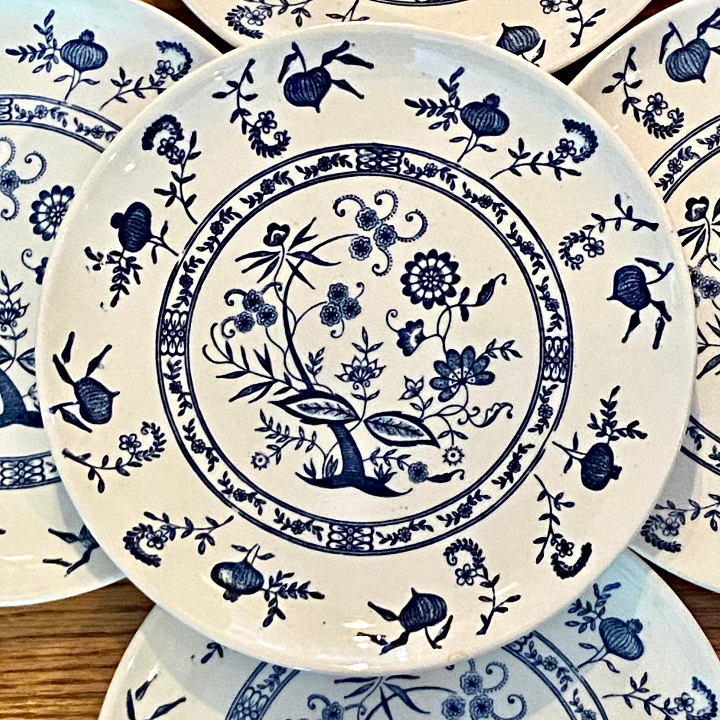 Set of 5 vintage blue & white blue onion plates