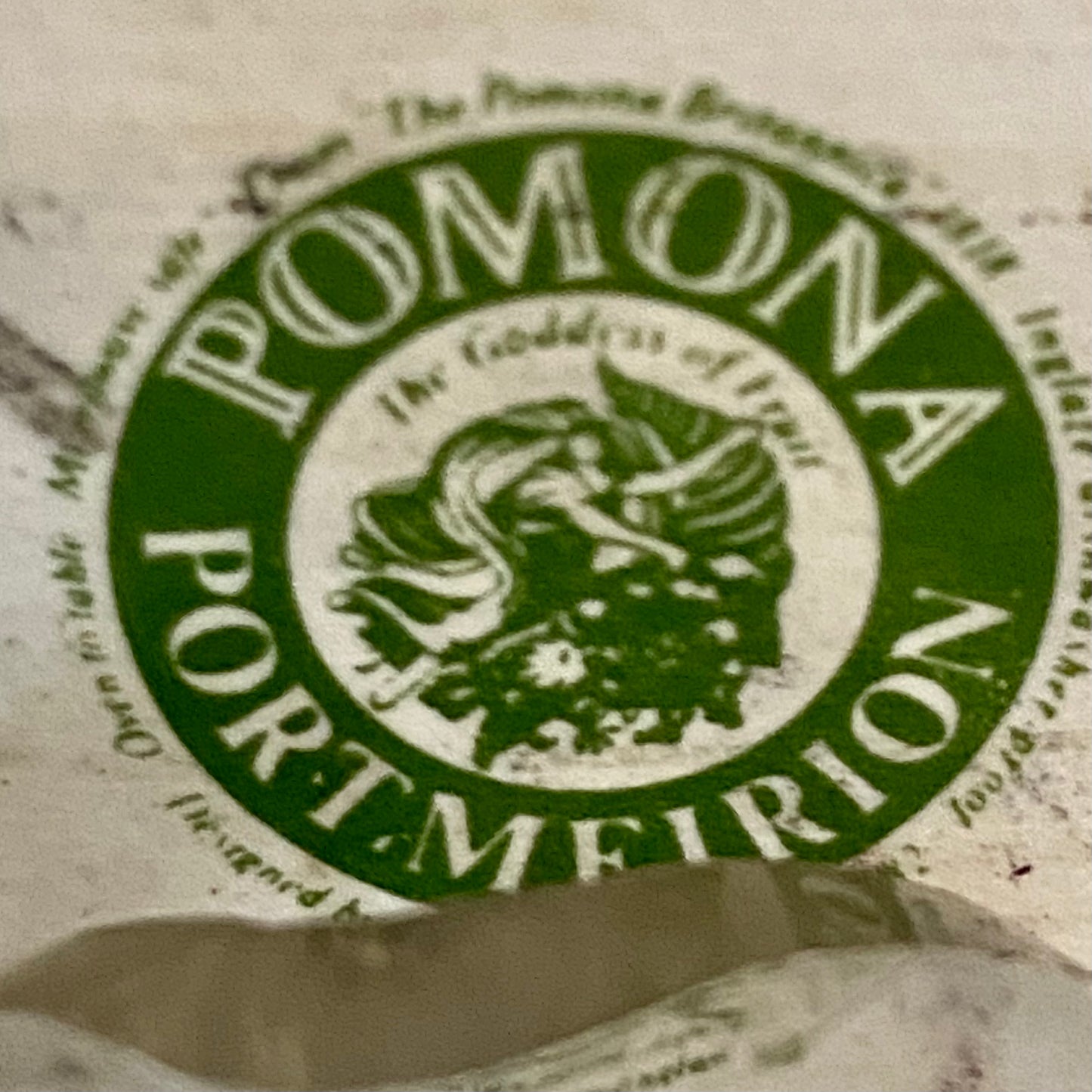 Vintage Portmeirion France Pomona oven to table serving platter dish