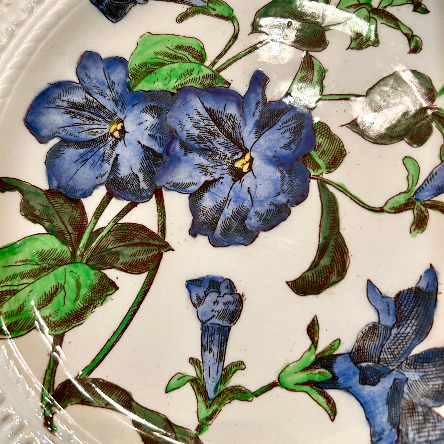 Set of 2 antique rare vintage designer botanical plates by Royal Cauldon England 10 d