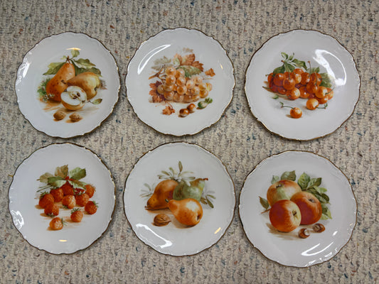 Beautiful Bavaria Fruit Plates set of 6!