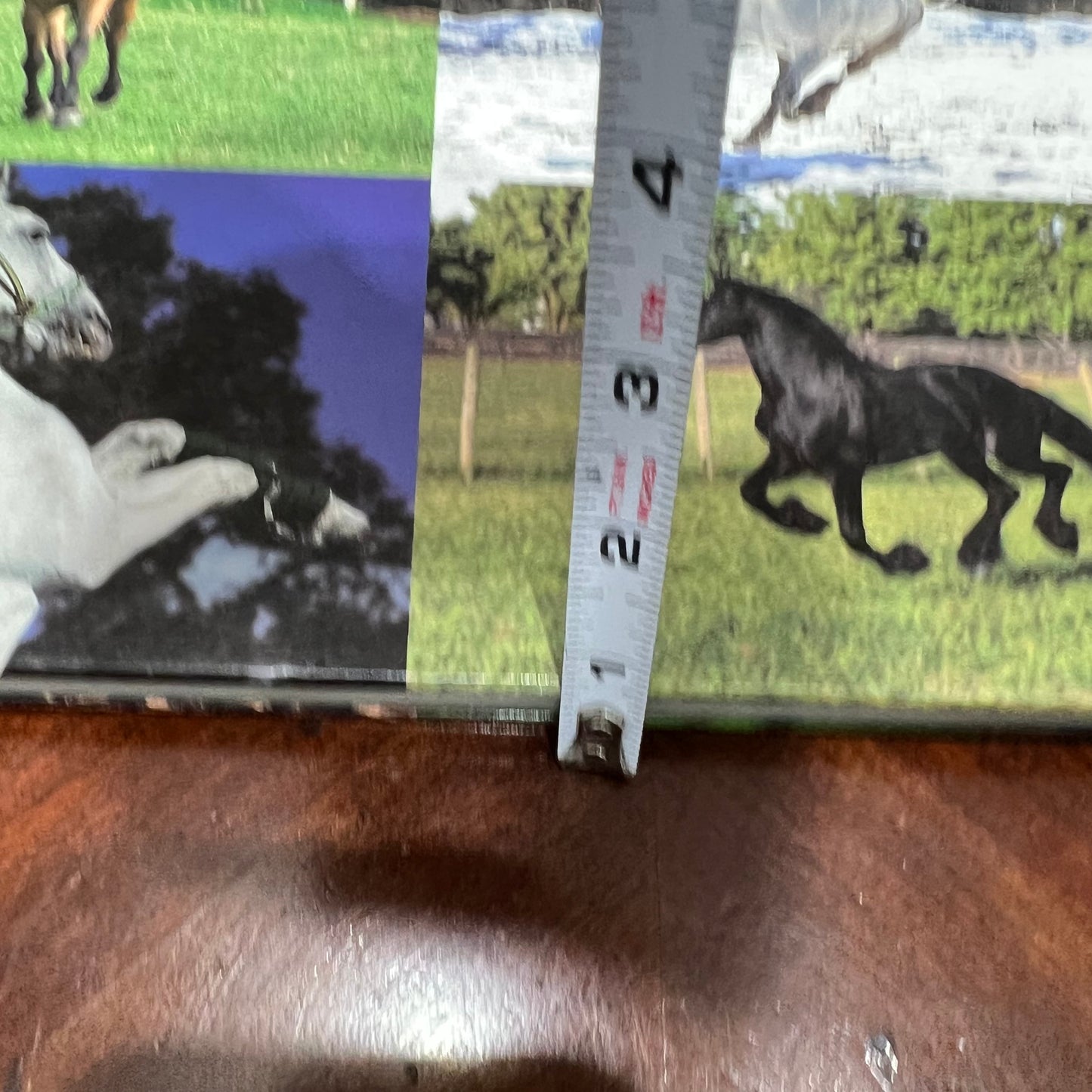 HORSE BREEDS JAMES KINGSTON VINTAGE LARGE XL HARD COVER BOOK