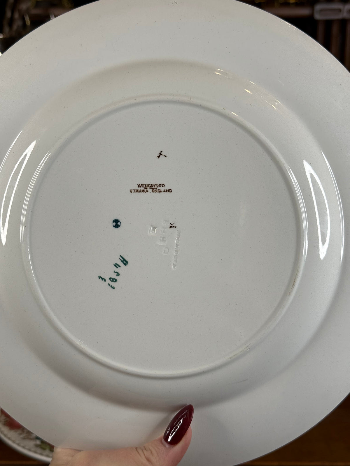 Antique Wedgwood Set of (5) “Formosa” Turkey Dinner Plates | Etruria England | Game Bird Transferware | Circa 1903 | 10.25”