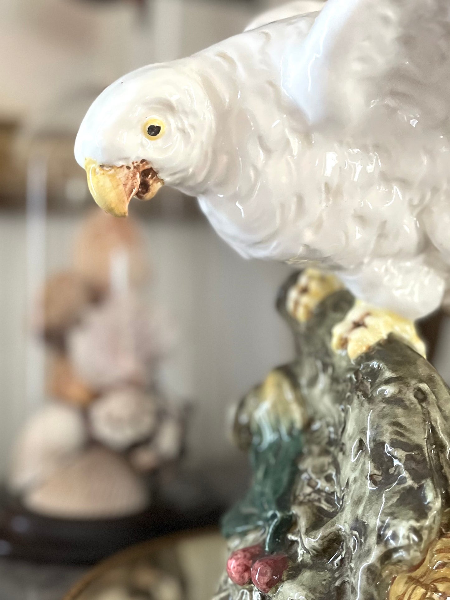 Live 08/25 Majolica Parrot Italian