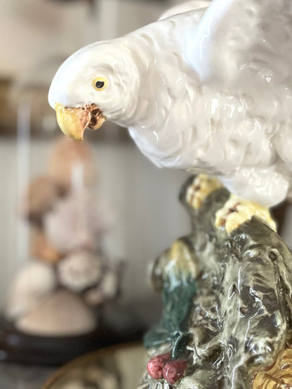 Live 08/25 Majolica Parrot Italian