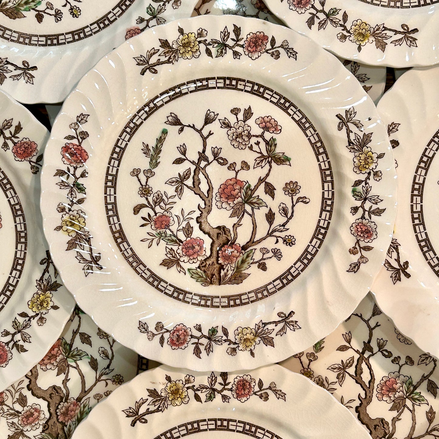 Set of 18 vintage Kashmir tree stunning scalloped dinner plates 10d
