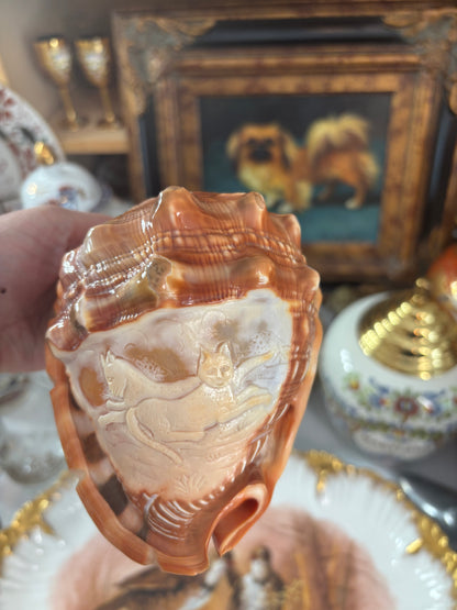 Stunning cameo conch shell with cats! Signed by artist!