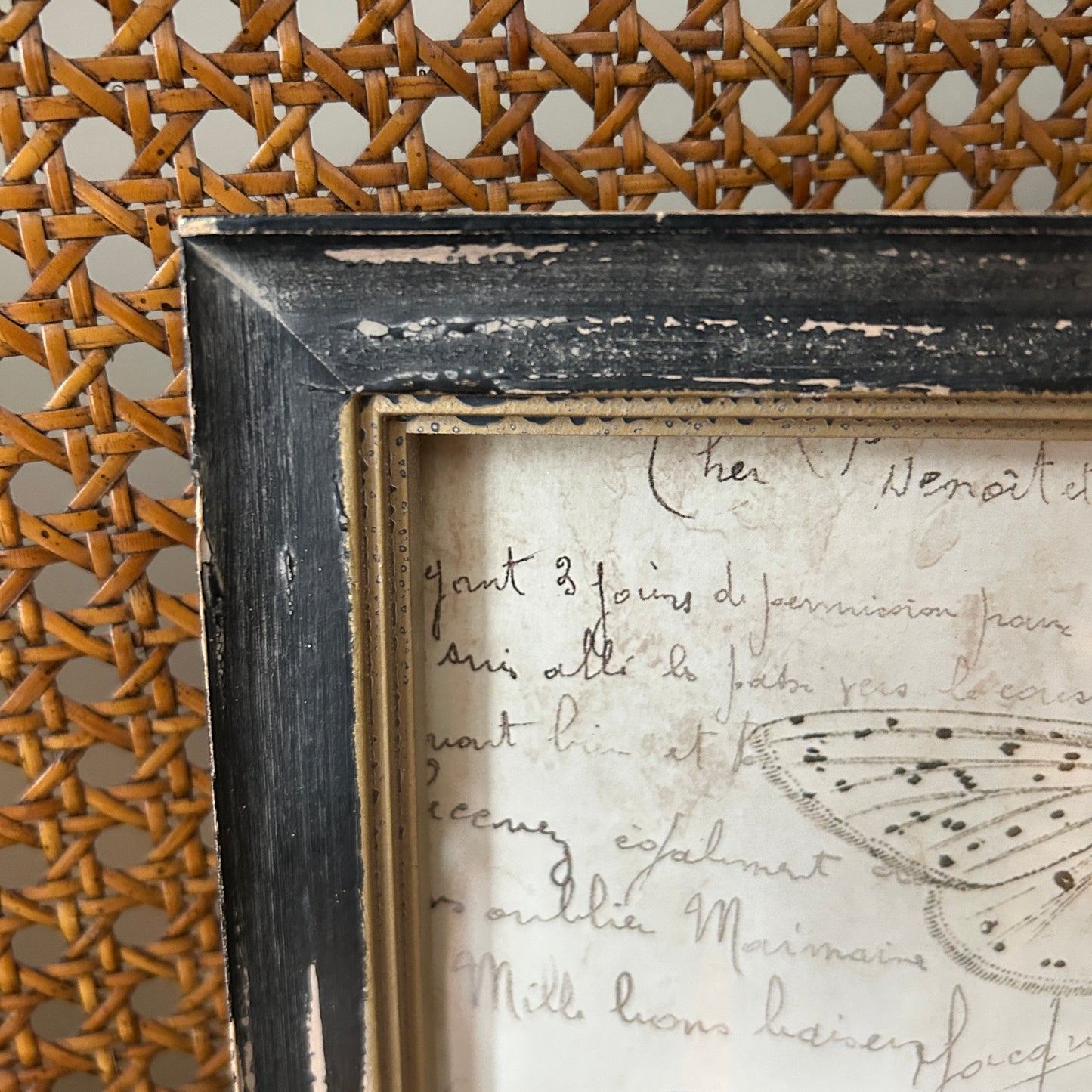 vintage butterfly & botanical wall art