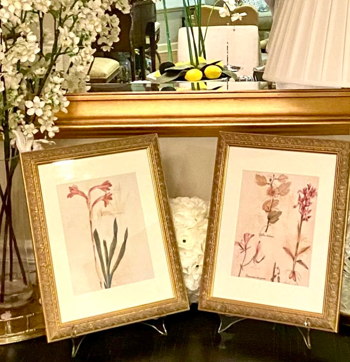 Pair of vintage botanical prints wall art in gild frame
