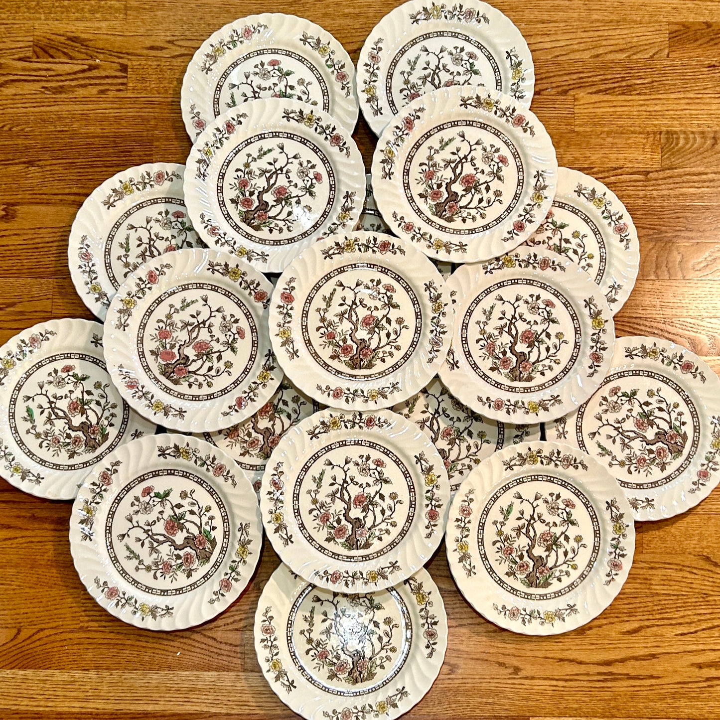 Set of 18 vintage Kashmir tree stunning scalloped dinner plates 10d