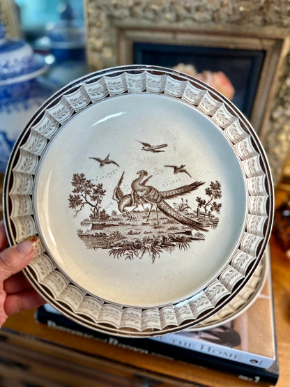 Late 19th Century Wedgwood "Lag & Feather" Brown Transferware Plates Pair, Made in England, 10"