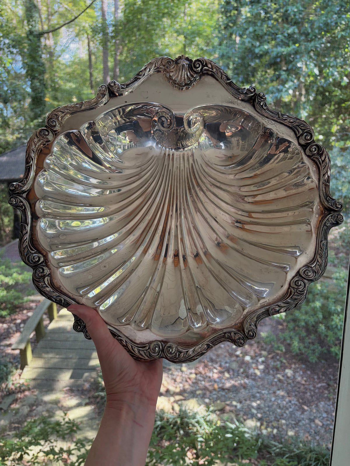 Stunning English silver extra large shell serving platter!
