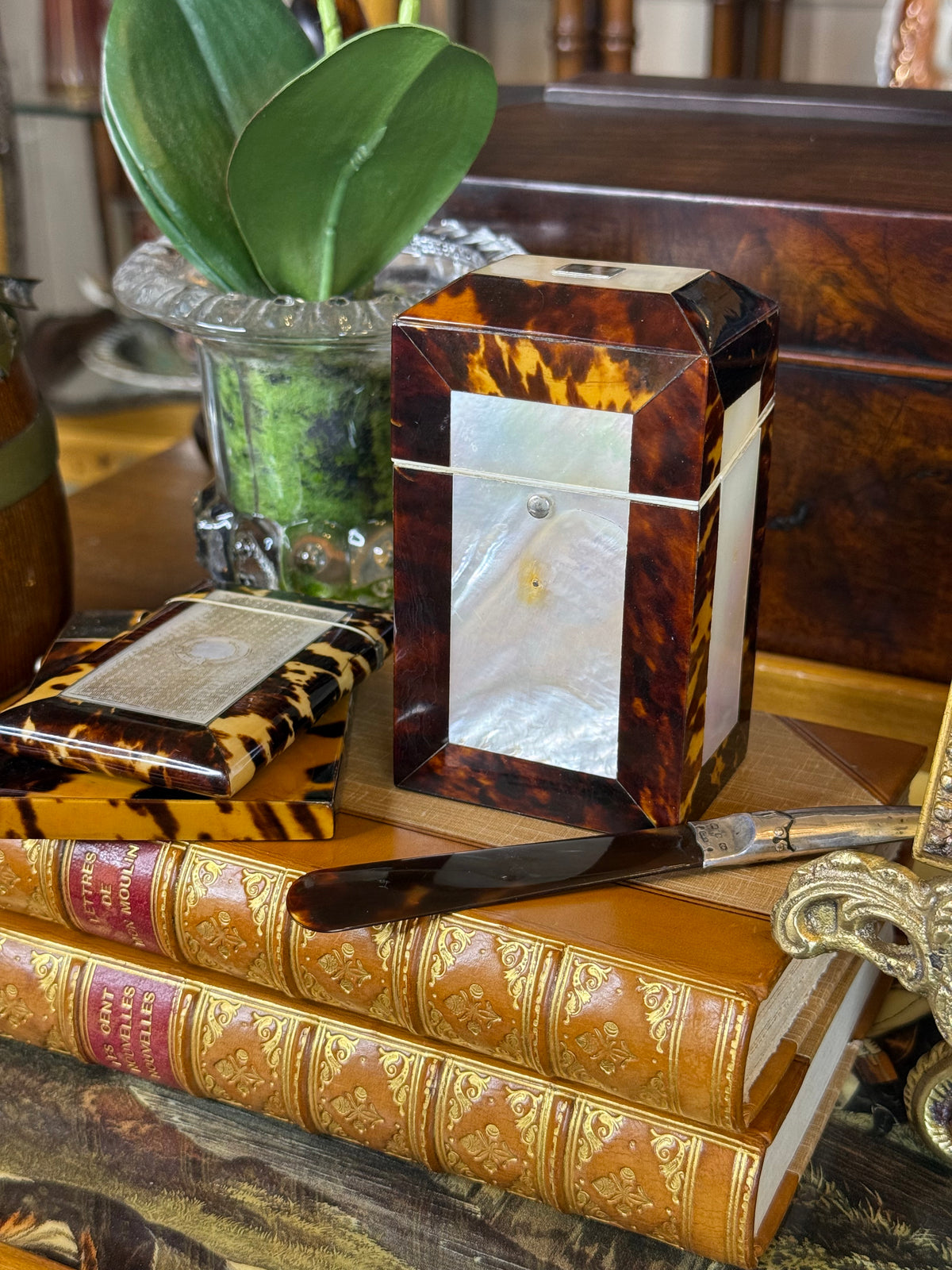 Antique Victorian Tshell & Mother-of-Pearl Sewing Etui | Complete Fitted Sewing Box | Lavender Satin Interior | Jackson-Mitchell Provenance | 4”
