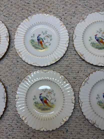 Gorgeous Royal Crown Derby Lowestoft Pheasant plates set of 6! As is!