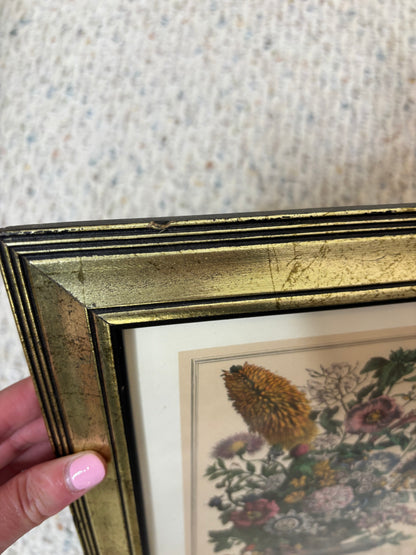 Framed Robert Furber August month print!