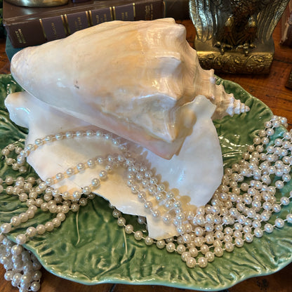 Massive pearly pink coastal chic real sea conch shell decor 10 in