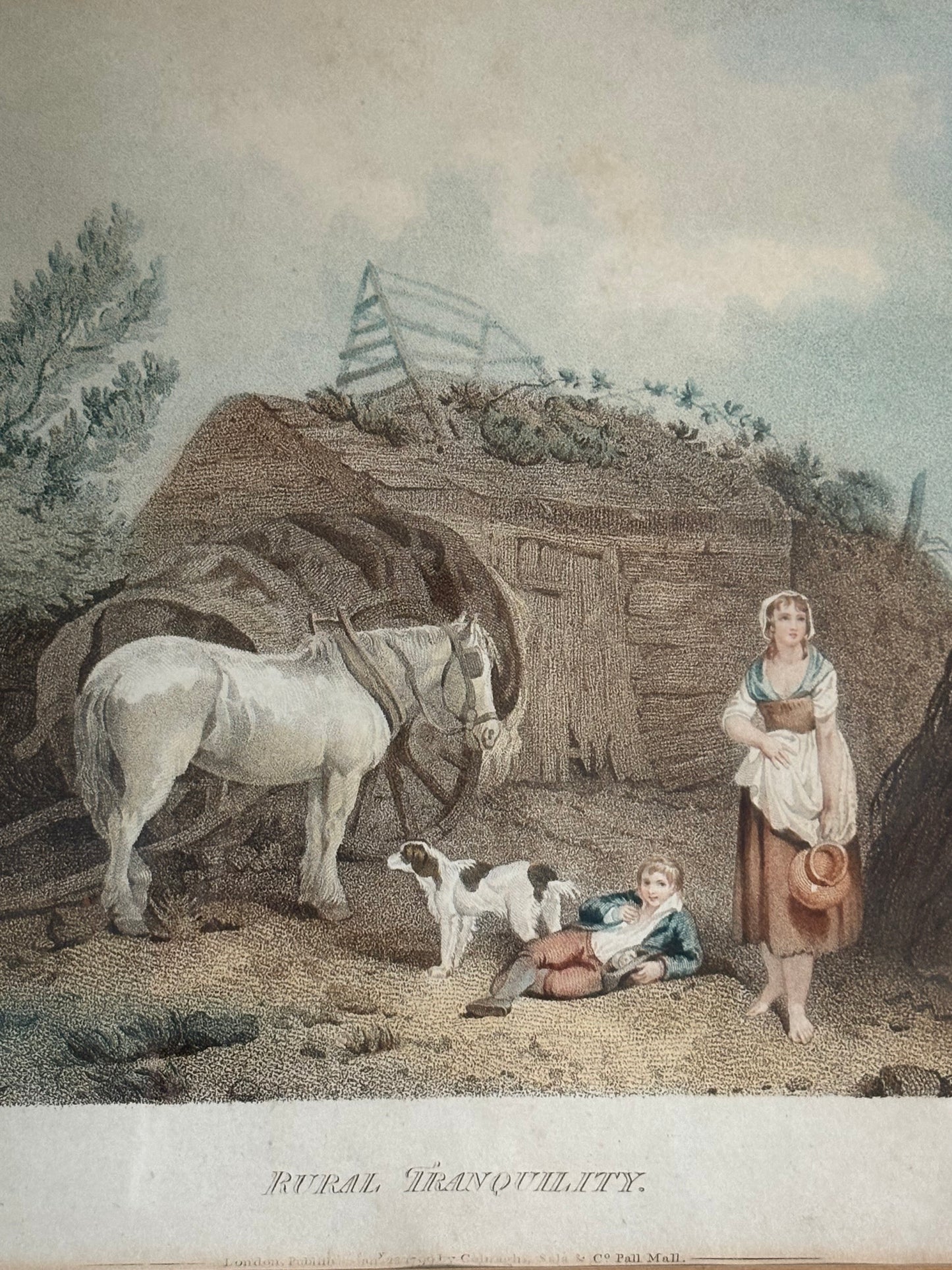 Set (4) Framed 19th century Lithographs