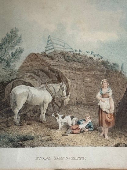 Set (4) Framed 19th century Lithographs