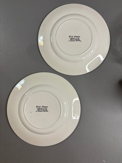 Beautiful Tiffany & Co. Johnson Brothers botanical plates set of 2!
