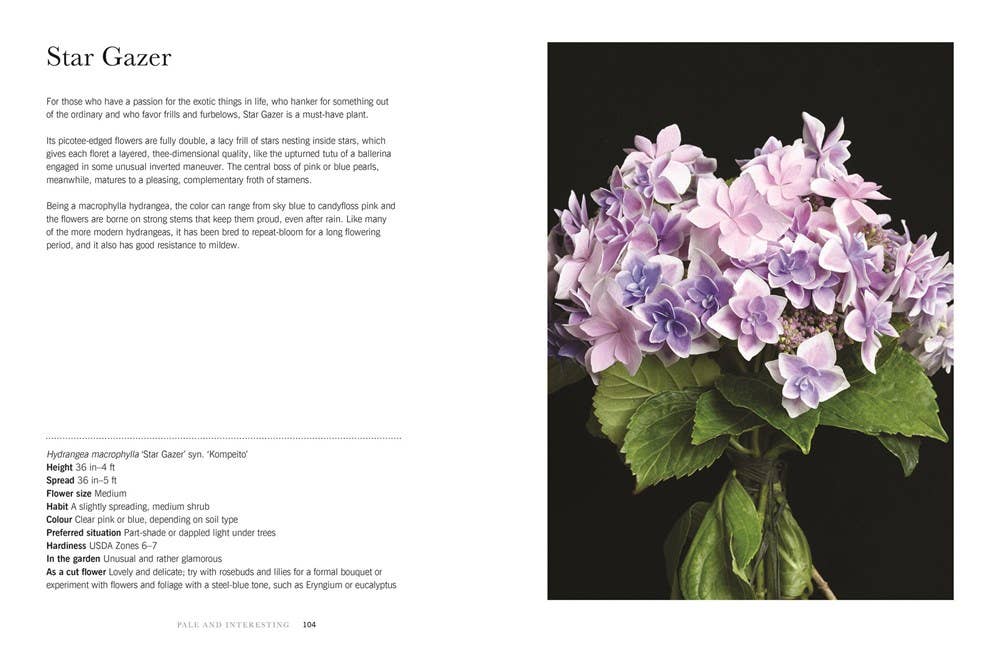 Hydrangeas: Beautiful Varieties for Home & Garden Design Book