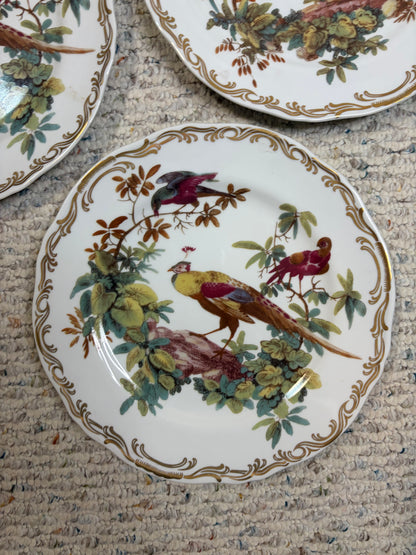 Gorgeous Andrea by Sadek Exotic birds plates set of 3!