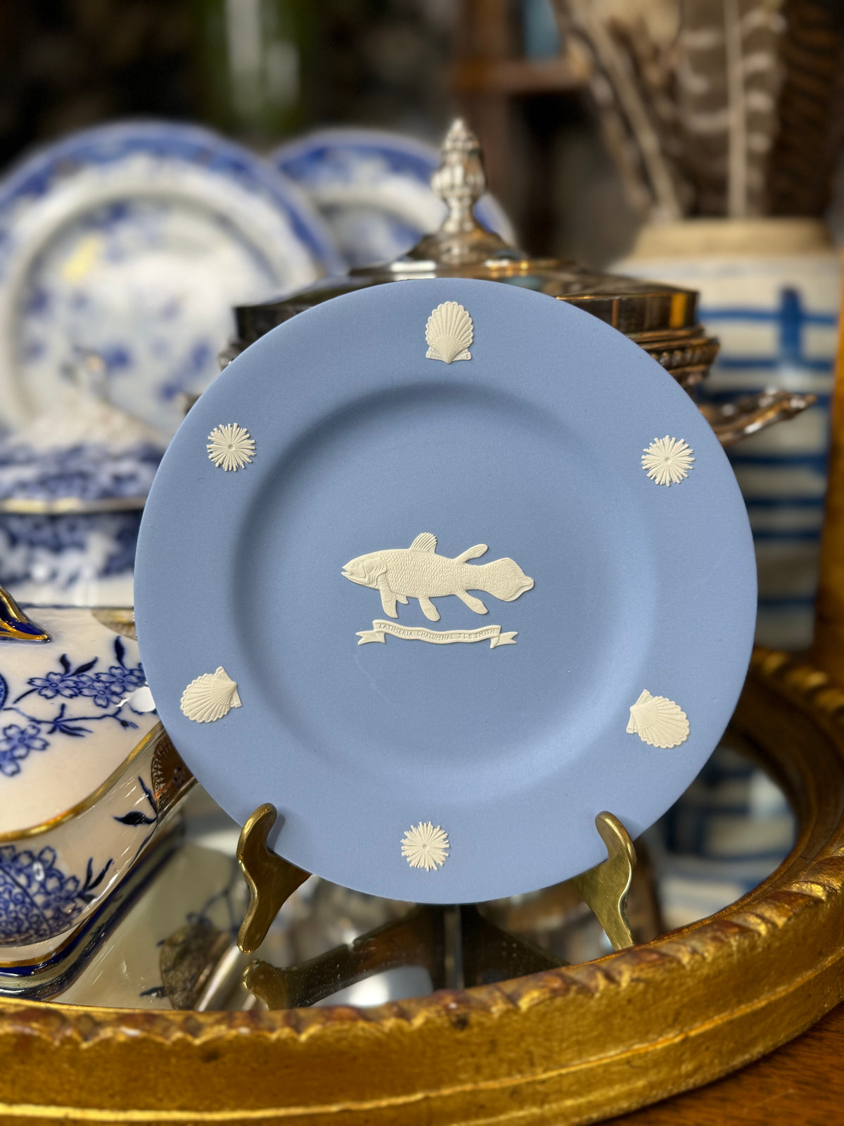 Vintage Wedgwood Blue Jasperware Marine Fish & Shell Collector Plate | Made in England | 6.5” D