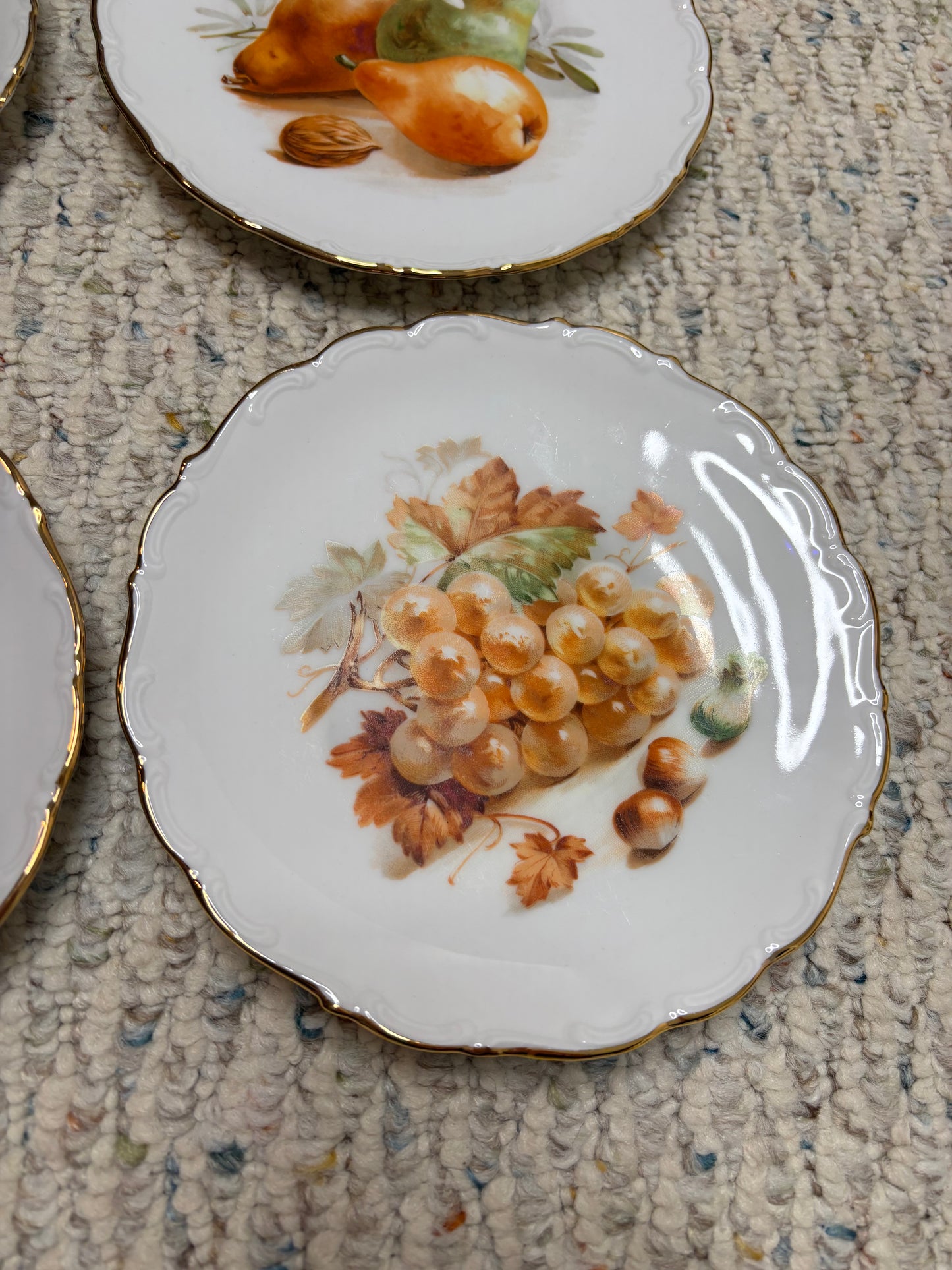 Beautiful Bavaria Fruit Plates set of 6!