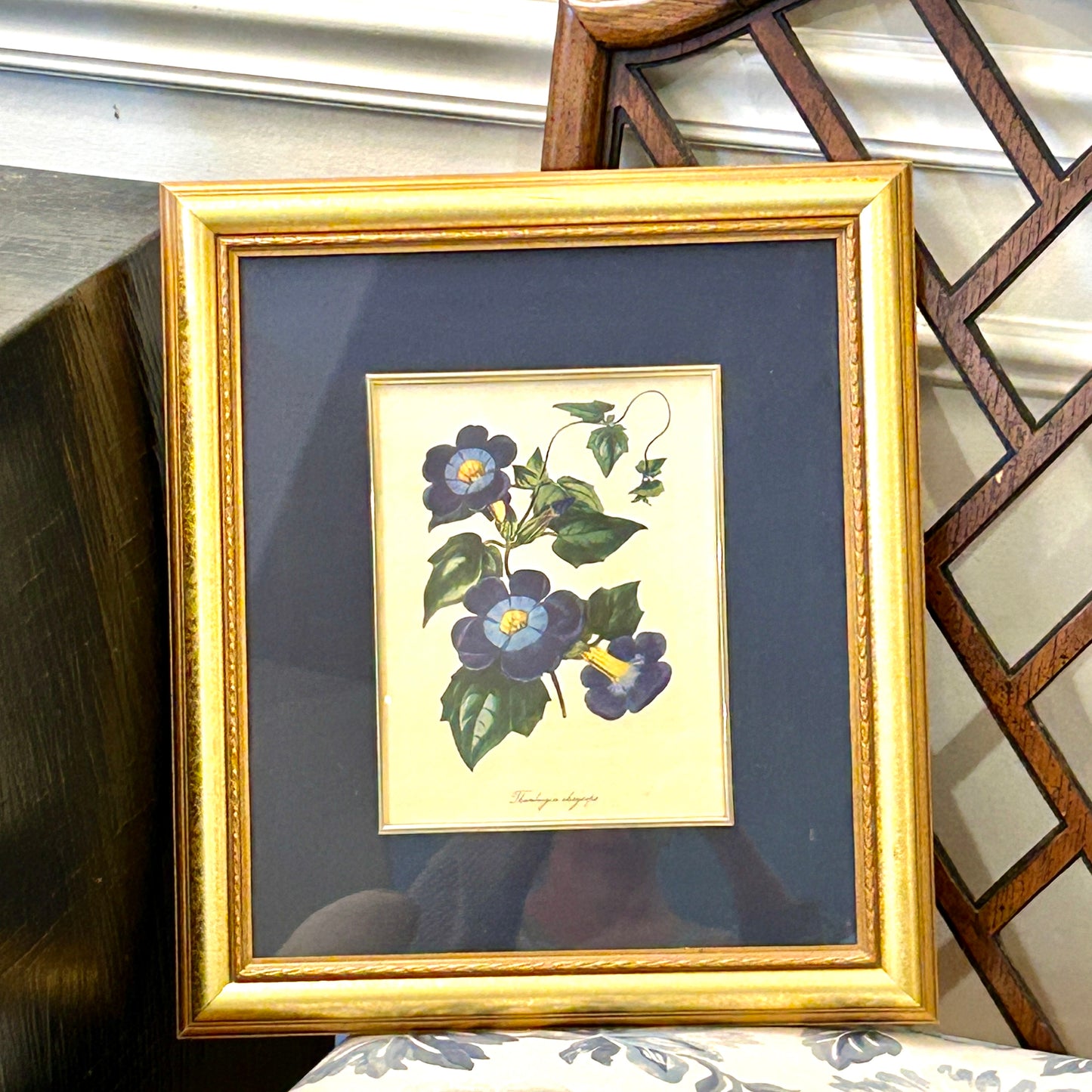 beautiful botanical framed print art under glass 17 x 14